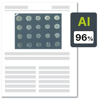 AI 生成图像检测